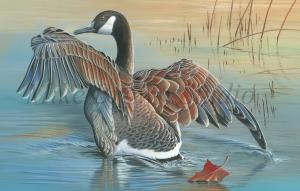 Mike Brown Named Winner Of The 2015 Iowa Duck Stamp Competition